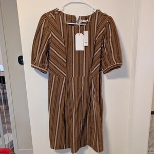 Francesca's Day To Day Striped Brown Dress with Button Details